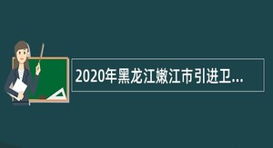 2020年黑龙江嫩江市引进卫生和健康局所属事业单位专业技术人才公告