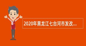 2020年黑龙江七台河市发改委引进优秀人才公告
