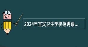 2024年宜宾卫生学校招聘编外教师公告