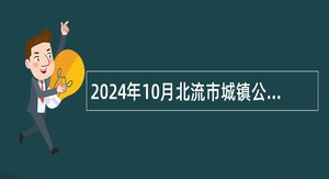 2024年10月北流市城镇公益性岗位招聘公告（14人）