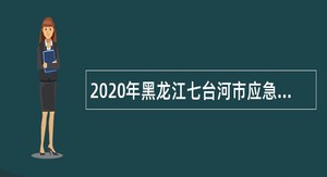 2020年黑龙江七台河市应急管理局招聘矿山救护队员公告