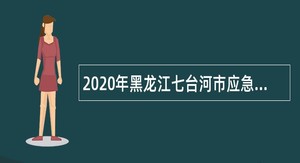 2020年黑龙江七台河市应急管理局引进人才公告
