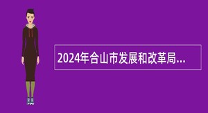 2024年合山市发展和改革局招聘编制外聘用人员公告（1人）