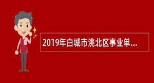 2019年白城市洮北区事业单位招聘考试公告（82名）