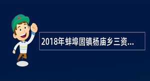 2018年蚌埠固镇杨庙乡三资中心选聘财务公告
