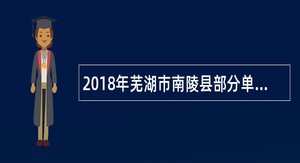2018年芜湖市南陵县部分单位招聘编外人员公告