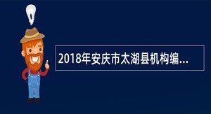 2018年安庆市太湖县机构编制委员会办公室选调工作人员公告