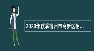 2020年秋季宿州市高新区招聘公告