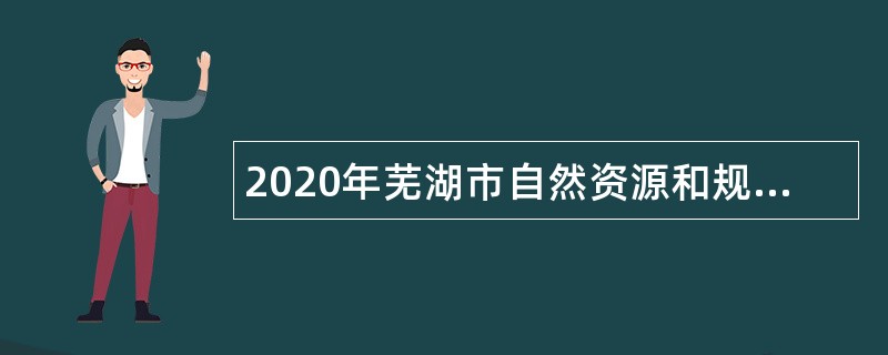 2020年芜湖市自然资源和规划局赴重点院校招聘紧缺专业应届毕业生公告