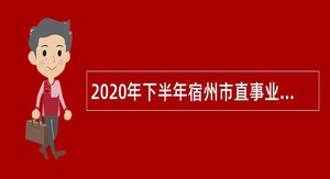 2020年下半年宿州市直事业单位招聘考试公告（79名）