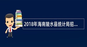 2018年海南陵水县统计局招聘公告