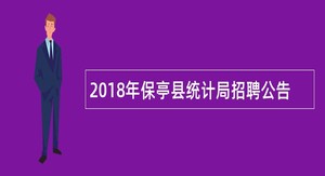 2018年保亭县统计局招聘公告