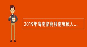 2019年海南临高县南宝镇人民政府招聘政府雇员公告