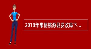 2018年常德桃源县发改局下属事业单位选调公告