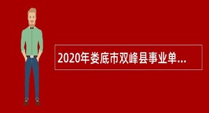 2020年娄底市双峰县事业单位招聘考试公告（9人）