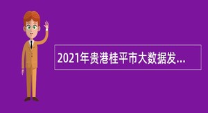 2021年贵港桂平市大数据发展和政务局招聘编外工作人员公告