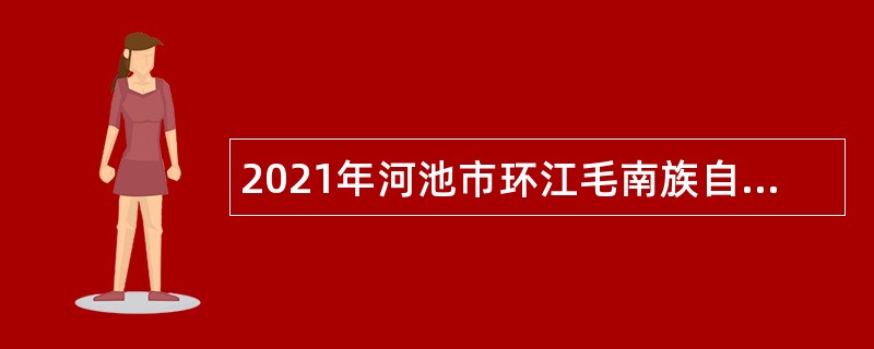 2021年河池市环江毛南族自治县投资促进局招聘政府购买服务岗位人员公告