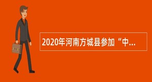 2020年河南方城县参加“中国·河南招才引智创新发展大会”事业单位第二次招聘公告
