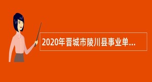 2020年晋城市陵川县事业单位招聘考试公告（94人）