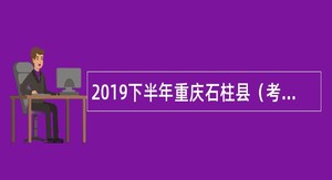 2019下半年重庆石柱县（考核）招聘党群系统事业单位人员公告