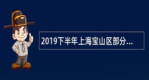 2019下半年上海宝山区部分事业单位招聘公告