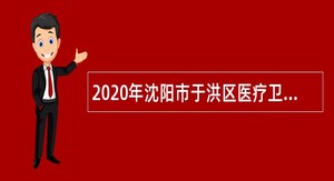 2020年沈阳市于洪区医疗卫生系统招聘公共卫生人员公告