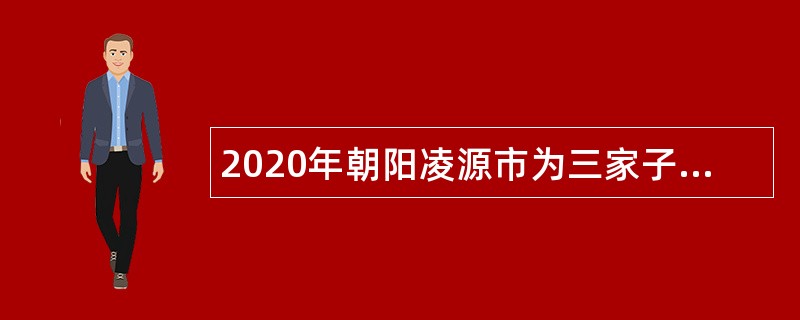 2020年朝阳凌源市为三家子蒙古族乡政府招聘公告