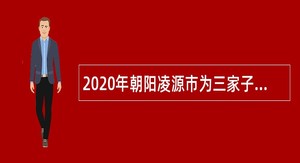 2020年朝阳凌源市为三家子蒙古族乡政府招聘公告