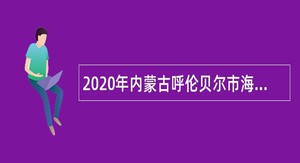 2020年内蒙古呼伦贝尔市海拉尔区中小学校、幼儿园招聘教师公告