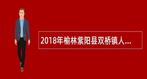 2018年榆林紫阳县双桥镇人民政府招聘公告