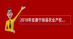 2018年安康宁陕县农业产权服务中心招聘公告