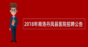 2018年商洛丹凤县医院招聘公告