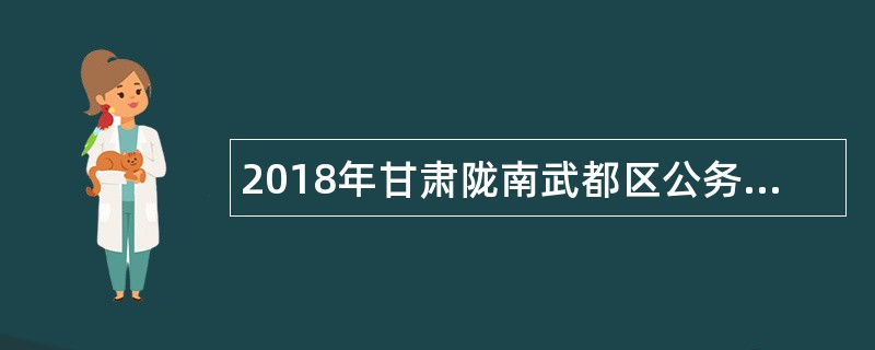 2018年甘肃陇南武都区公务用车综合服务平台招聘司勤人员公告