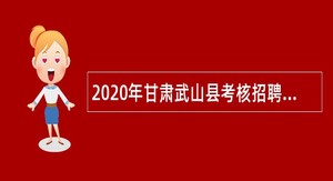2020年甘肃武山县考核招聘急需紧缺岗位教师和医务人员公告