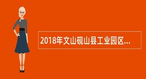 2018年文山砚山县工业园区管理委员会招聘园区综合协管员公告
