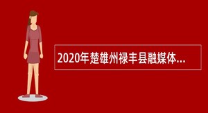 2020年楚雄州禄丰县融媒体中心招聘紧缺人才公告