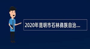 2020年昆明市石林彝族自治县人民医院招聘（编外）公告