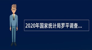 2020年国家统计局罗平调查队招聘合同制人员公告（云南）