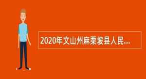 2020年文山州麻栗坡县人民医院招聘编外卫生专业技术人员公告