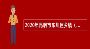 2020年昆明市东川区乡镇（街道）所属事业单位招聘考试公告（20人）