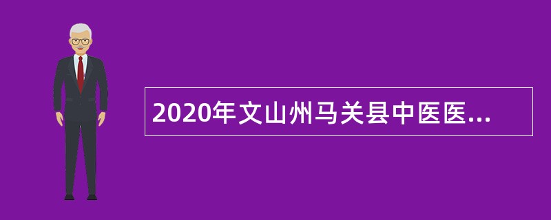 2020年文山州马关县中医医院招聘编制外专业技术人员公告