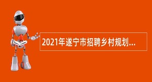 2021年遂宁市招聘乡村规划师（编外人员）公告