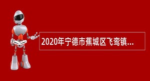 2020年宁德市蕉城区飞鸾镇人民政府招聘公告