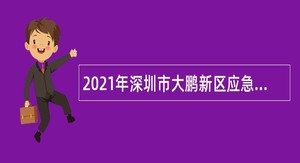 2021年深圳市大鹏新区应急管理局招聘编外人员公告