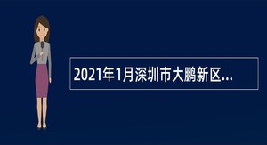 2021年1月深圳市大鹏新区南澳办事处招聘编外人员公告