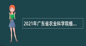 2021年广东省农业科学院植物保护研究所招聘劳动合同制人员公告