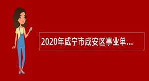 2020年咸宁市咸安区事业单位招聘考试公告（127人）