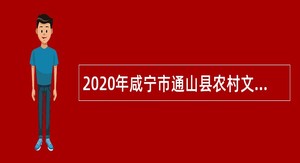2020年咸宁市通山县农村文化工作队招聘公告