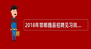 2018年邯郸魏县招聘见习岗位人员公告
