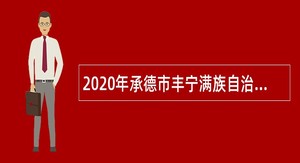 2020年承德市丰宁满族自治县事业单位招聘考试公告（110人）